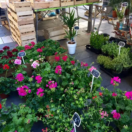 Ma Place Au Sud 604 Apartman Nizza